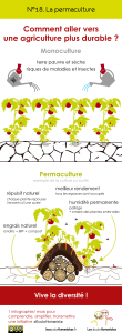 Permaculture - Agriculture durable - infographie