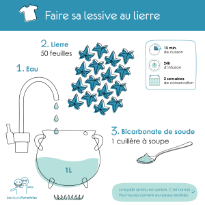 recette de la lessive maison au lierre