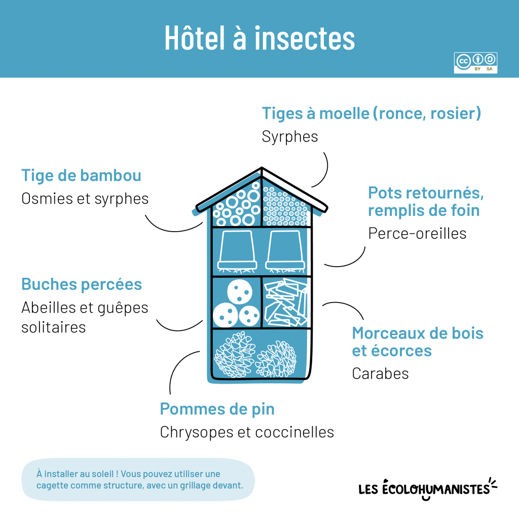 biodiversité hôtel à insectes