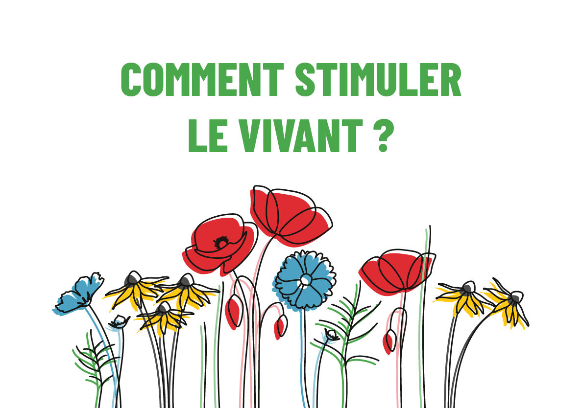 Biodiversité