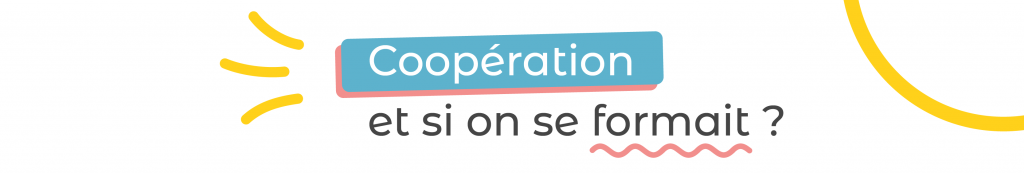 prestations formation à la coopération, animacoop