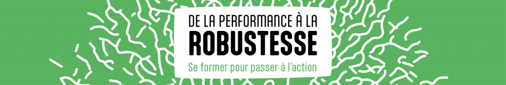 prestations formation à la robustesse, à Lyon