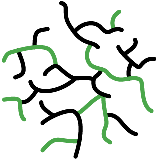 Formation à la robustesse et prestations sur-mesure